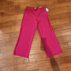Sincerely Jules brand new pants